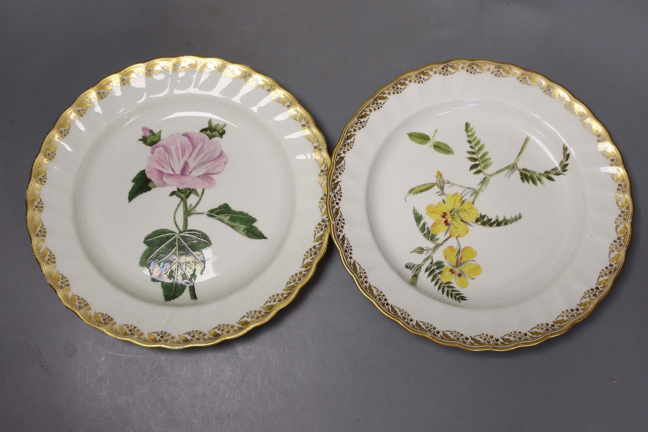 Four Derby botanical plates, to include pattern 115, Derby collection no.150 and 151, c.1795